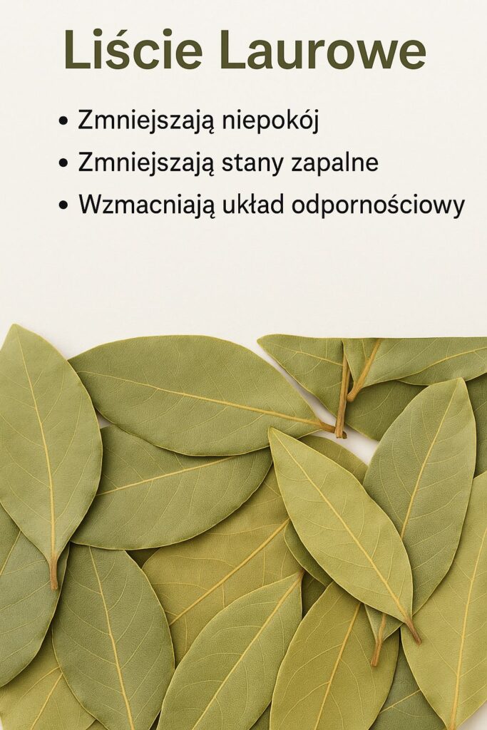Li_cie_laurowe__W_a_ciwo_ci_zdrowotne_i__rodki_ostro_no_ci__kt_re_warto_zna_ Li_cie_laurowe__W_a_ciwo_ci_zdrowotne_i__rodki_ostro_no_ci__kt_re_warto_zna_