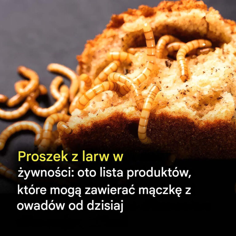 M_czka_z_larw_w_produktach_spo_ywczych__dowiedz_si___kt_re_produkty_mog__teraz_zawiera__ten_sk_adnik