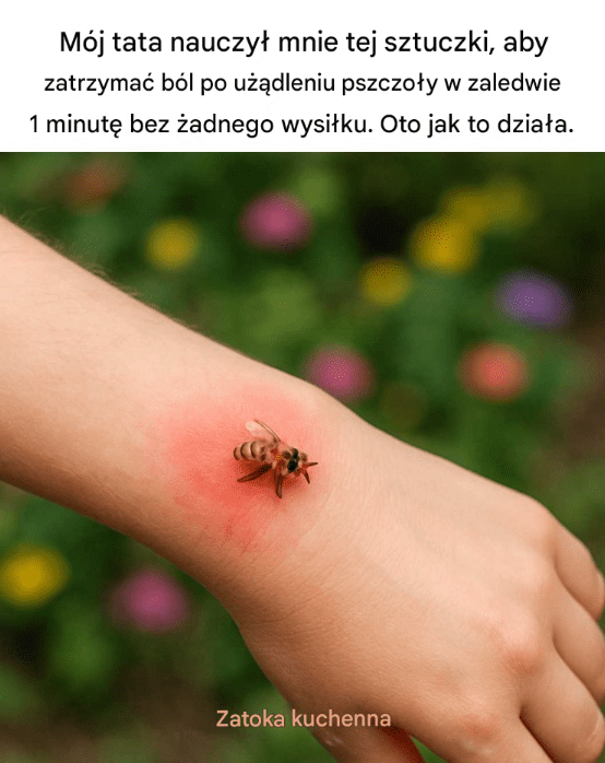 M_j_tata_nauczy__mnie_tej_sztuczki__aby_zatrzyma__b_l_po_u__dleniu_pszczo_y_w_zaledwie_1_minut____bez__adnego_wysi_ku__Oto_jak_to_dzia_a M_j_tata_nauczy__mnie_tej_sztuczki__aby_zatrzyma__b_l_po_u__dleniu_pszczo_y_w_zaledwie_1_minut____bez__adnego_wysi_ku__Oto_jak_to_dzia_a