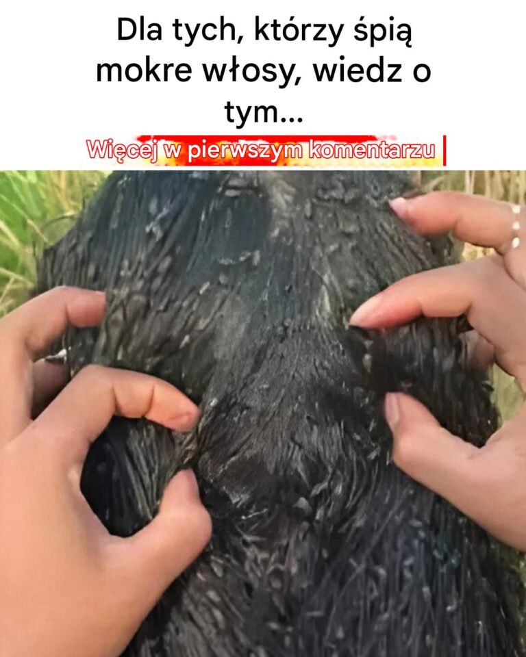 Mokre_W_osy_na_Poduszce___Fakty_i_Mity__Odkrywamy_Prawdy_o_Zasypianiu_z_Wilgotnymi_W_osami