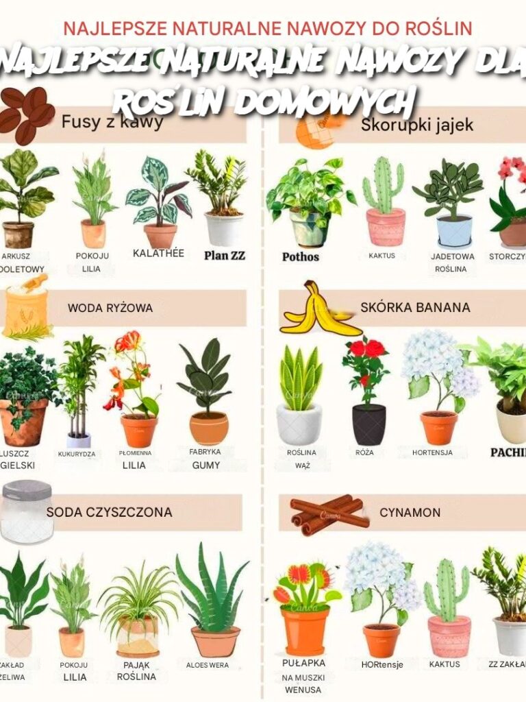 Najlepsze_naturalne_nawozy_dla_ro_lin_domowych Najlepsze_naturalne_nawozy_dla_ro_lin_domowych