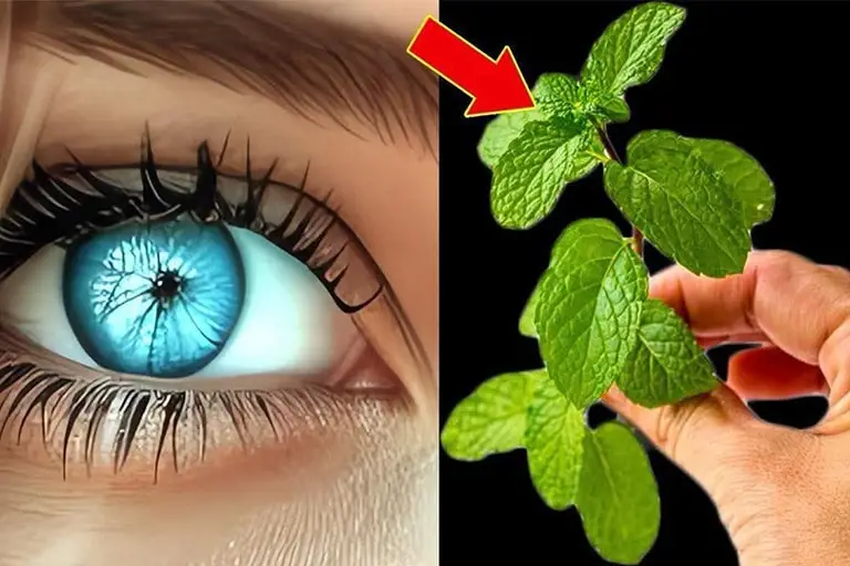 Najlepszy_spos_b_na_naturaln__piel_gnacj__oczu Najlepszy_spos_b_na_naturaln__piel_gnacj__oczu