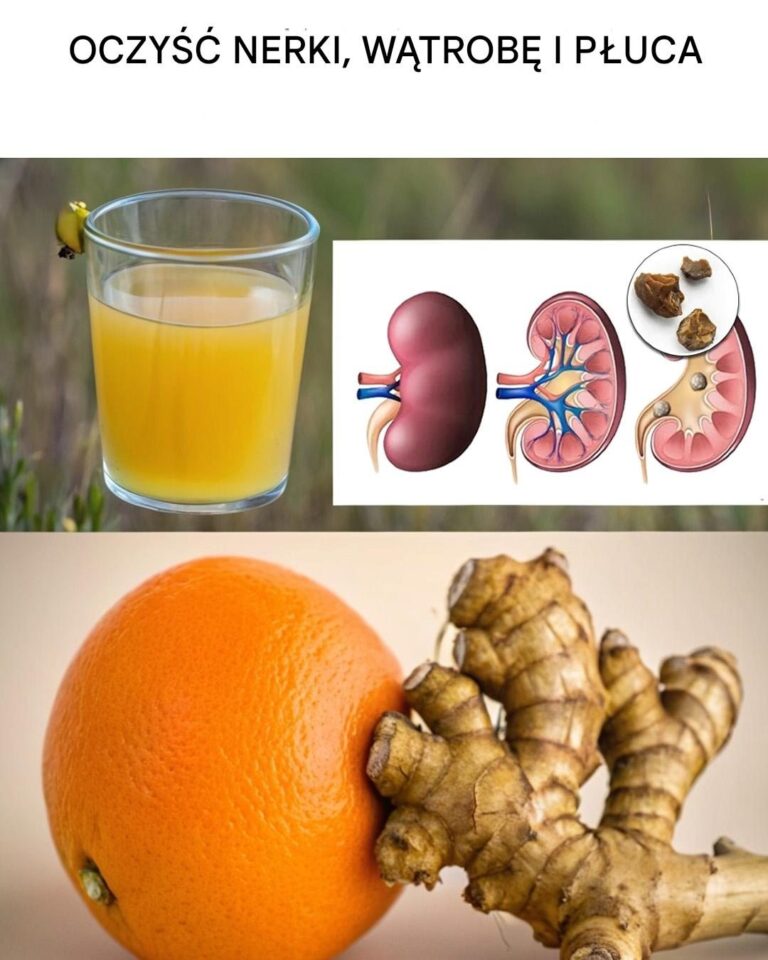 Naturalnie_oczy___nerki__w_trob__i_p_uca__aby_odzyska__energi__i_dobre_samopoczucie