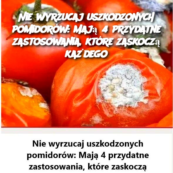 Nie_wyrzucaj_uszkodzonych_pomidor_w__Maj__4_przydatne_zastosowania__kt_re_zaskocz__ka_dego Nie_wyrzucaj_uszkodzonych_pomidor_w__Maj__4_przydatne_zastosowania__kt_re_zaskocz__ka_dego