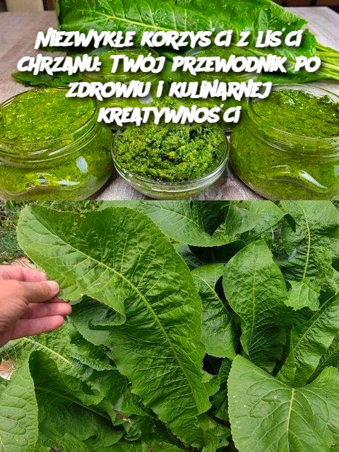 Niezwyk_e_korzy_ci_z_li_ci_chrzanu__Tw_j_przewodnik_po_zdrowiu_i_kulinarnej_kreatywno_ci-2 Niezwyk_e_korzy_ci_z_li_ci_chrzanu__Tw_j_przewodnik_po_zdrowiu_i_kulinarnej_kreatywno_ci-2