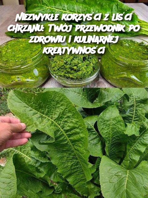 Niezwyk_e_korzy_ci_z_li_ci_chrzanu__Tw_j_przewodnik_po_zdrowiu_i_kulinarnej_kreatywno_ci Niezwyk_e_korzy_ci_z_li_ci_chrzanu__Tw_j_przewodnik_po_zdrowiu_i_kulinarnej_kreatywno_ci