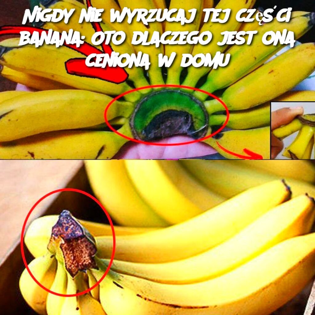 Nigdy_nie_wyrzucaj_tej_cz__ci_banana__Oto_dlaczego_jest_ona_ceniona_w_domu Nigdy_nie_wyrzucaj_tej_cz__ci_banana__Oto_dlaczego_jest_ona_ceniona_w_domu