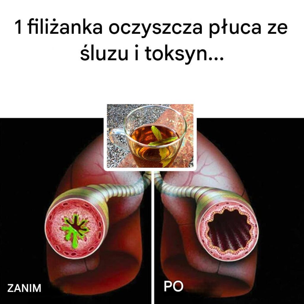 Oczyszczaj_cy_napar_na_p_uca___naturalny_spos_b_na_usuni_cie__luzu_i_toksyn Oczyszczaj_cy_napar_na_p_uca___naturalny_spos_b_na_usuni_cie__luzu_i_toksyn