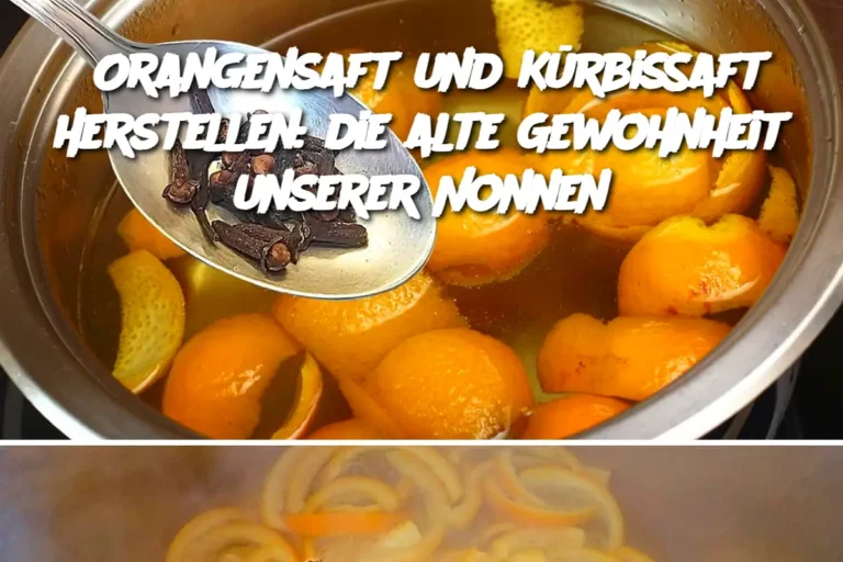 Orangensaft_und_K_rbissaft_herstellen__die_alte_Gewohnheit_unserer_Nonnen