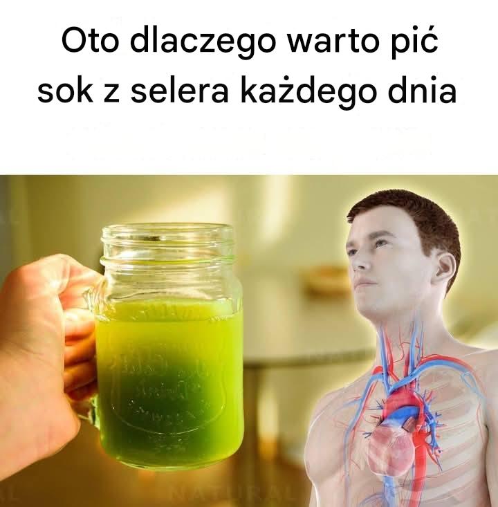 Oto_dlaczego_warto_pi__sok_z_selera_ka_dego_dnia Oto_dlaczego_warto_pi__sok_z_selera_ka_dego_dnia