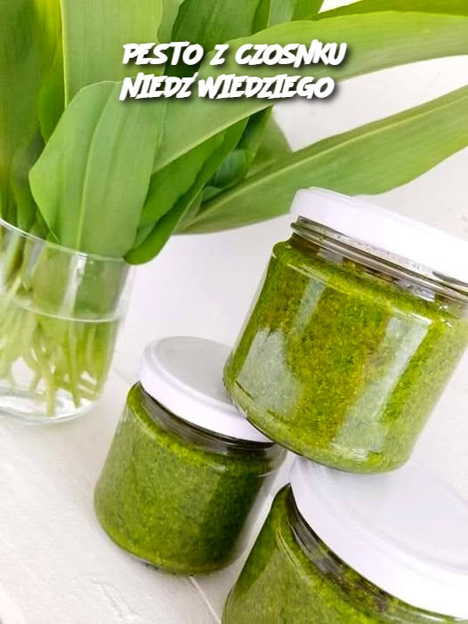 PESTO_Z_CZOSNKU_NIED_WIEDZIEGO PESTO_Z_CZOSNKU_NIED_WIEDZIEGO