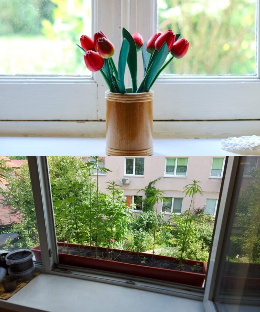 Parapety_s__jak_nowe__Zawdzi_czam_to_tej_sztuczce__kt_ra_pomo_e_r_wnie__Tobie-1 Parapety_s__jak_nowe__Zawdzi_czam_to_tej_sztuczce__kt_ra_pomo_e_r_wnie__Tobie-1