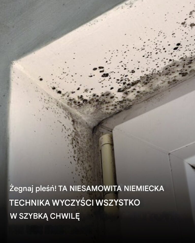 Po_egnaj_si__z_ple_ni___Ta_niemiecka_sztuczka_eliminuje_wszystko_w_mgnieniu_oka