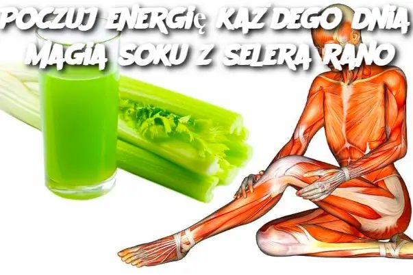 Poczuj_energi__ka_dego_dnia___magia_soku_z_selera_rano Poczuj_energi__ka_dego_dnia___magia_soku_z_selera_rano