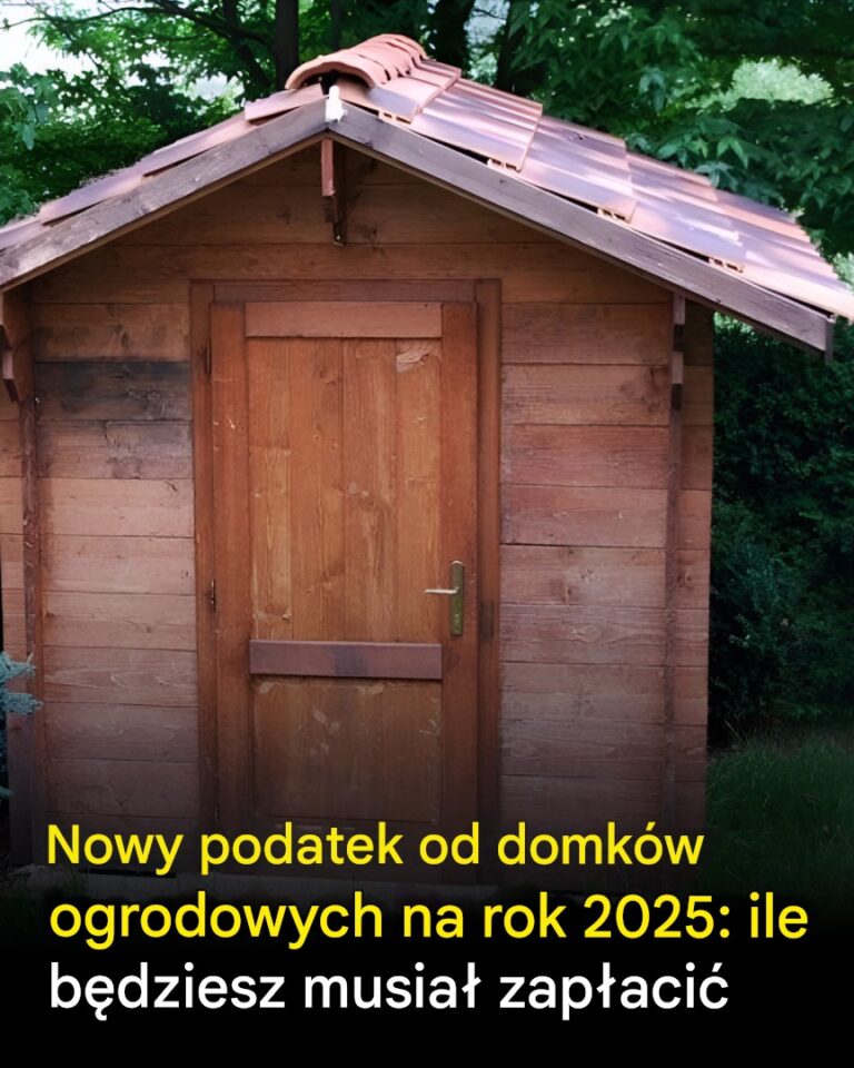 Podatek_od_altany_ogrodowej_w_2025_r___oto__co_b_dziesz_musia__zap_aci_