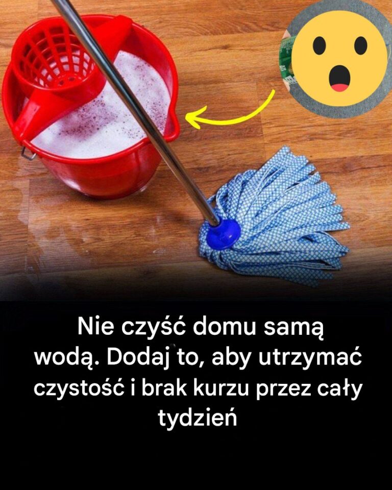 Porady__jak_utrzyma__dom_w_czysto_ci_i_bez_kurzu