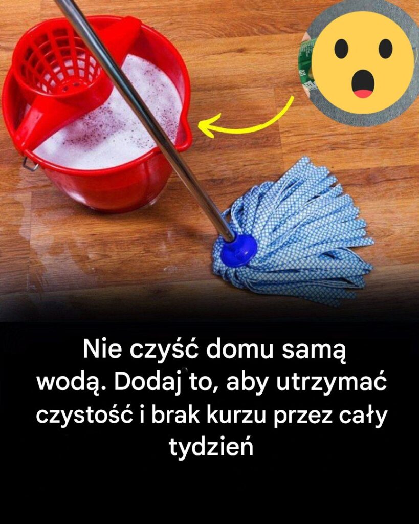 Porady__jak_utrzyma__dom_w_czysto_ci_i_bez_kurzu