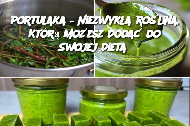 Portulaka___Niezwyk_a_Ro_lina__Kt_r__Mo_esz_Doda__do_Swojej_Dieta