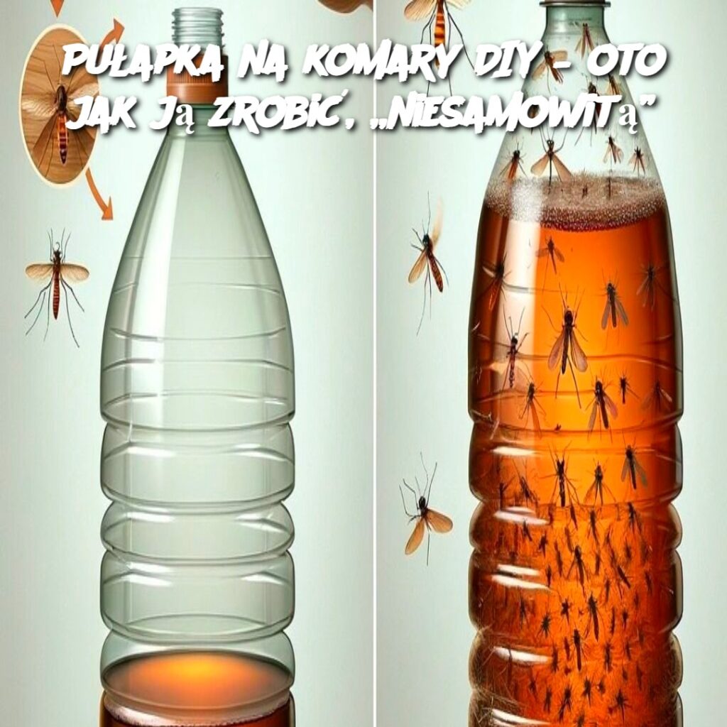Pu_apka_na_komary_DIY___oto_jak_j__zrobi____niesamowit__ Pu_apka_na_komary_DIY___oto_jak_j__zrobi____niesamowit__