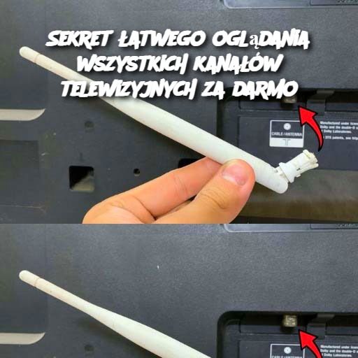 Sekret__atwego_ogl_dania_wszystkich_kana__w_telewizyjnych_za_darmo Sekret__atwego_ogl_dania_wszystkich_kana__w_telewizyjnych_za_darmo