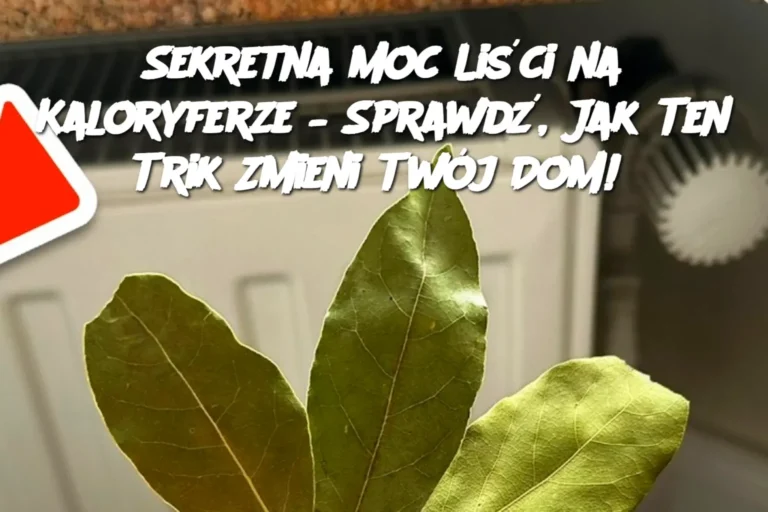 Sekretna_Moc_Li_ci_na_Kaloryferze___Sprawd___Jak_Ten_Trik_Zmieni_Tw_j_Dom_