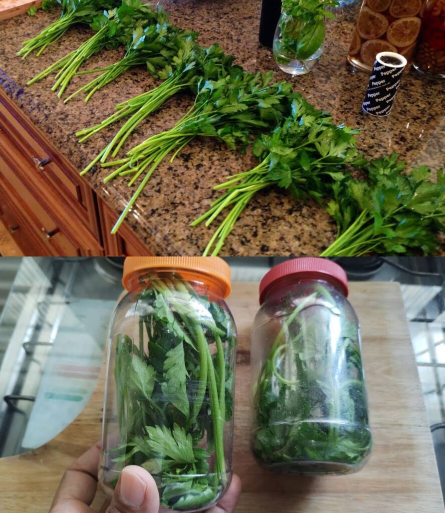 Sekrety_D_ugotrwa_ego_Przechowywania_Pietruszki___Jak_Utrzyma__Jej__wie_o___Bez_Zamra_ania_ Sekrety_D_ugotrwa_ego_Przechowywania_Pietruszki___Jak_Utrzyma__Jej__wie_o___Bez_Zamra_ania_