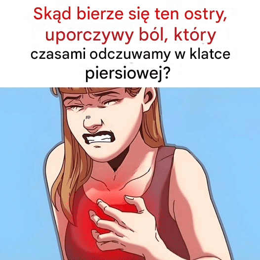 Sk_d_bierze_si__ten_ostry__uporczywy_b_l__kt_ry_czasami_odczuwamy_w_klatce_piersiowej_ Sk_d_bierze_si__ten_ostry__uporczywy_b_l__kt_ry_czasami_odczuwamy_w_klatce_piersiowej_