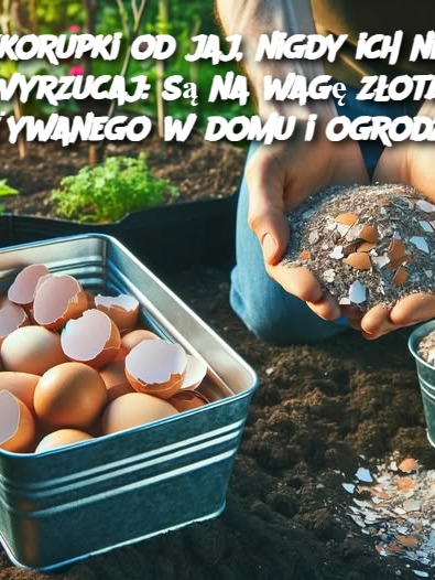 Skorupki_od_jaj__nigdy_ich_nie_wyrzucaj__s__na_wag__z_ota_u_ywanego_w_domu_i_ogrodzie Skorupki_od_jaj__nigdy_ich_nie_wyrzucaj__s__na_wag__z_ota_u_ywanego_w_domu_i_ogrodzie