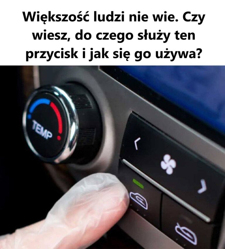 Tajemnicze_Sk_adniki_i_Ich_Ukryte_Znaczenie__Odkryj__Co_Tak_Naprawd__Robi_Ten_Przepis_