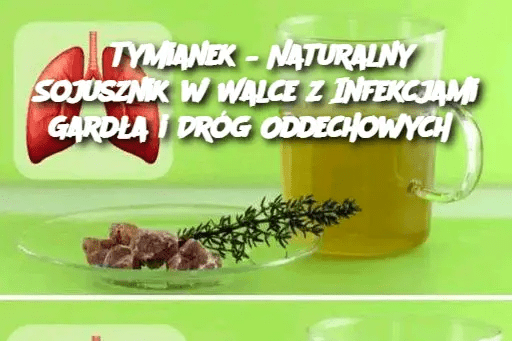 Tymianek___Naturalny_Sojusznik_w_Walce_z_Infekcjami_Gard_a_i_Dr_g_Oddechowych Tymianek___Naturalny_Sojusznik_w_Walce_z_Infekcjami_Gard_a_i_Dr_g_Oddechowych