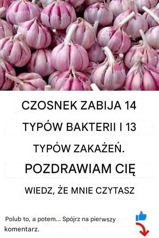 W_a_ciwo_ci_czosnku W_a_ciwo_ci_czosnku