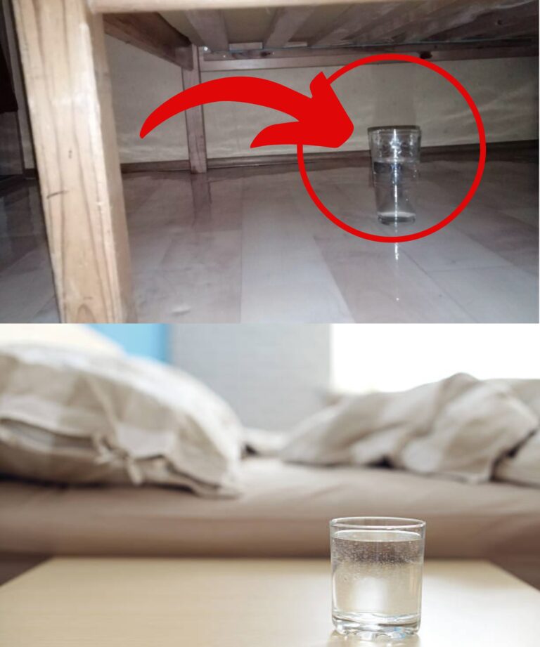 Wieczorem_zawsze_stawiam_szklank__wody_pod____kiem__Rano_dok_adnie_to_ogl_dam_I_ZNAJDUJ__WYNIK