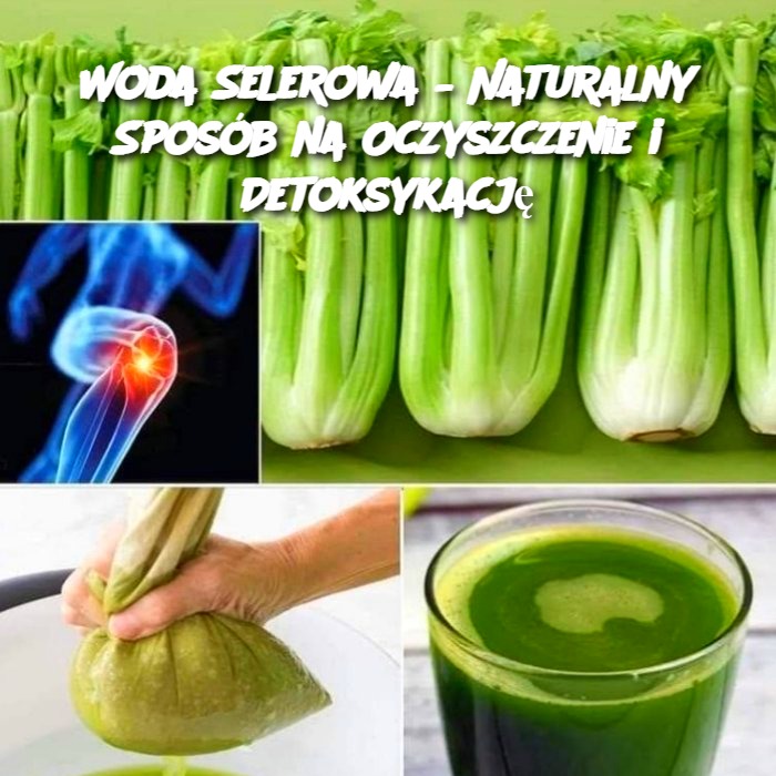 Woda_Selerowa___Naturalny_Spos_b_na_Oczyszczenie_i_Detoksykacj_ Woda_Selerowa___Naturalny_Spos_b_na_Oczyszczenie_i_Detoksykacj_