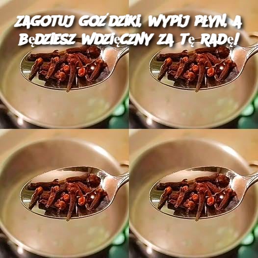 Zagotuj_go_dziki__wypij_p_yn__a_b_dziesz_wdzi_czny_za_t__rad__-1 Zagotuj_go_dziki__wypij_p_yn__a_b_dziesz_wdzi_czny_za_t__rad__-1