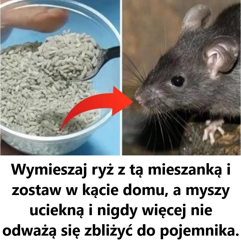 Zastan_w_si__dwa_razy_zanim_u_yjesz_pergaminu_ Zastan_w_si__dwa_razy_zanim_u_yjesz_pergaminu_