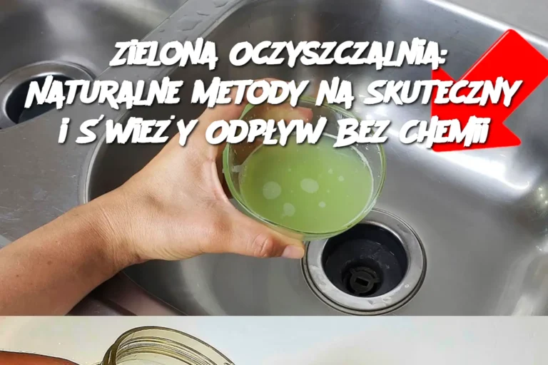 Zielona_Oczyszczalnia__Naturalne_Metody_na_Skuteczny_i__wie_y_Odp_yw_Bez_Chemii