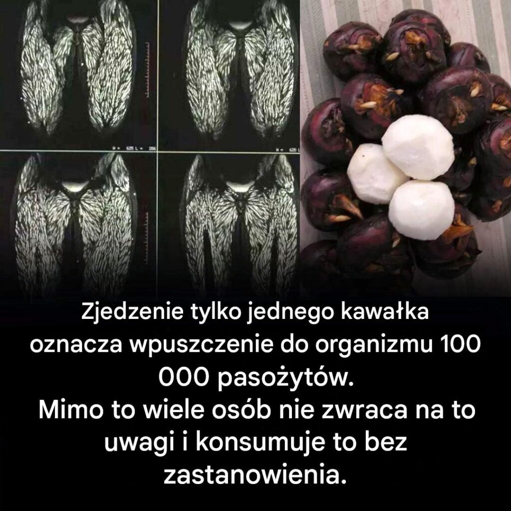 Zjedzenie_jednego_k_sa_jest_ju__szkodliwe__ale_wiele_os_b_nadal_je_je_bez_obaw Zjedzenie_jednego_k_sa_jest_ju__szkodliwe__ale_wiele_os_b_nadal_je_je_bez_obaw