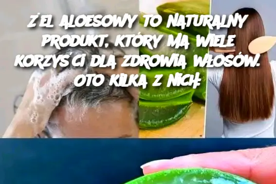 el_aloesowy_to_naturalny_produkt__kt_ry_ma_wiele_korzy_ci_dla_zdrowia_w_os_w__Oto_kilka_z_nich_ el_aloesowy_to_naturalny_produkt__kt_ry_ma_wiele_korzy_ci_dla_zdrowia_w_os_w__Oto_kilka_z_nich_