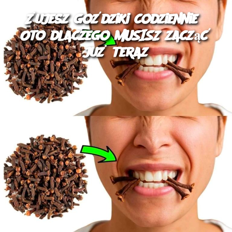 ujesz_go_dziki_codziennie__Oto_dlaczego_MUSISZ_zacz___ju__teraz ujesz_go_dziki_codziennie__Oto_dlaczego_MUSISZ_zacz___ju__teraz