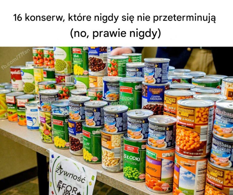 ywno___Wieczna__16_Konserw__Kt_re_Przetrwaj__Lata_Bez_Utraty_Jako_ci