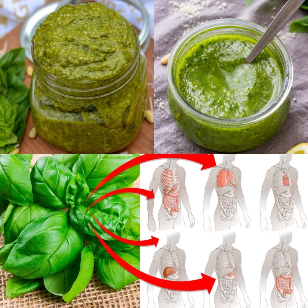 10_niesamowitych_korzy_ci_zdrowotnych_bazylii__kt_re_powiniene__zna_____ 10_niesamowitych_korzy_ci_zdrowotnych_bazylii__kt_re_powiniene__zna_____