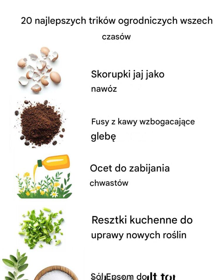 20_najlepszych_trik_w_ogrodniczych_wszech_czas_w