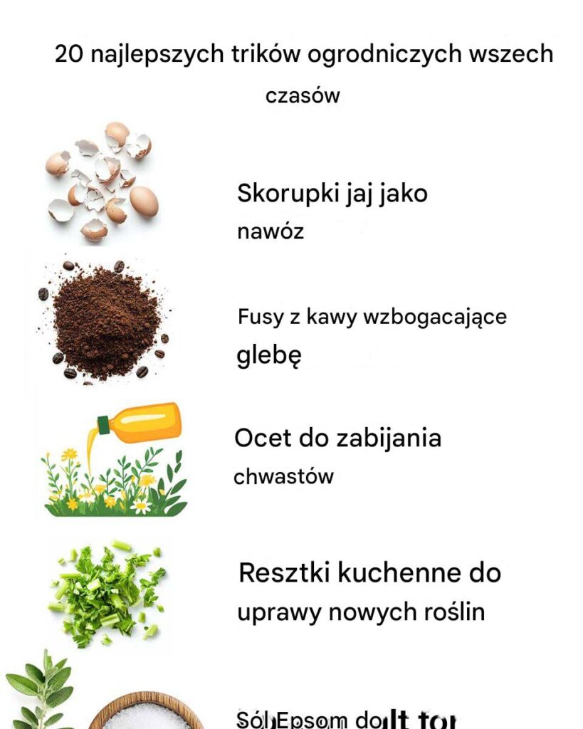 20_najlepszych_trik_w_ogrodniczych_wszech_czas_w 20_najlepszych_trik_w_ogrodniczych_wszech_czas_w