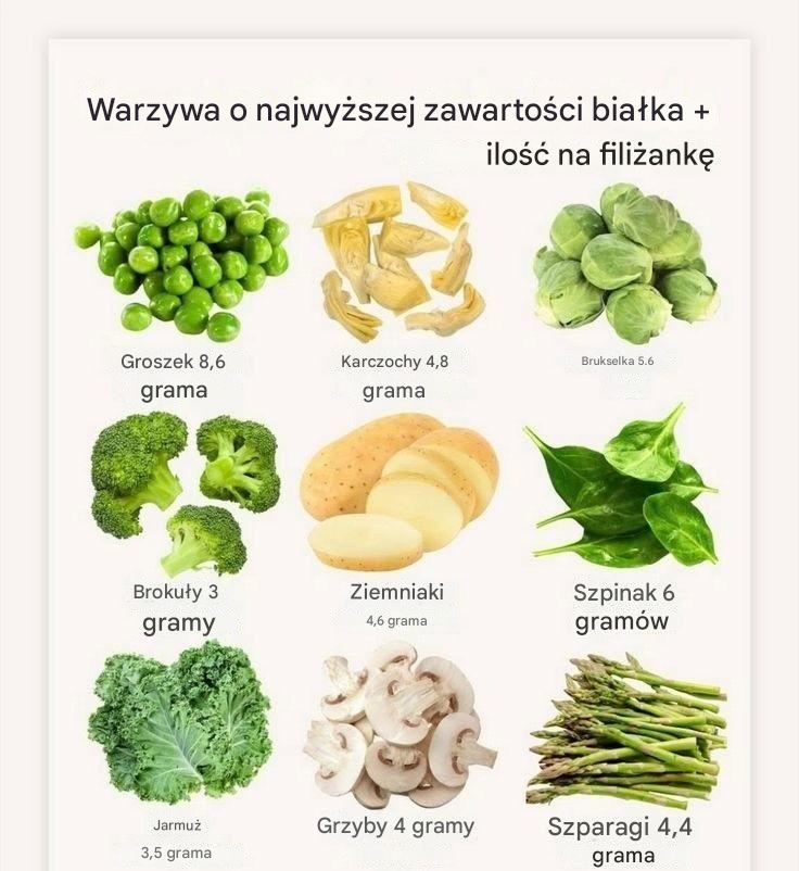 20_najlepszych_warzyw_bogatych_w_bia_ko__Wzboga__sw_j_talerz_o_bia_ko_ro_linne-1 20_najlepszych_warzyw_bogatych_w_bia_ko__Wzboga__sw_j_talerz_o_bia_ko_ro_linne-1