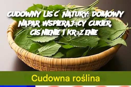 Cudowny_Li___Natury__Domowy_Napar_Wspieraj_cy_Cukier__Ci_nienie_i_Kr__enie Cudowny_Li___Natury__Domowy_Napar_Wspieraj_cy_Cukier__Ci_nienie_i_Kr__enie