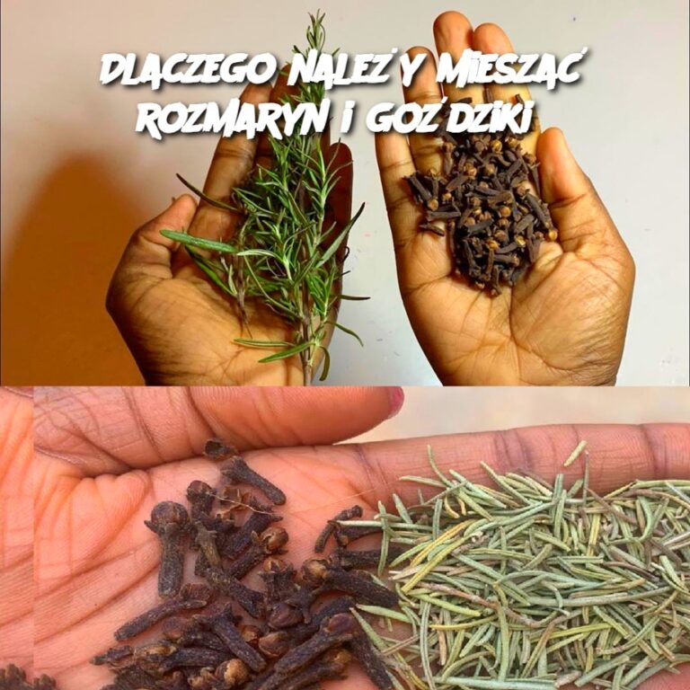 Dlaczego_nale_y_miesza__rozmaryn_i_go_dziki_