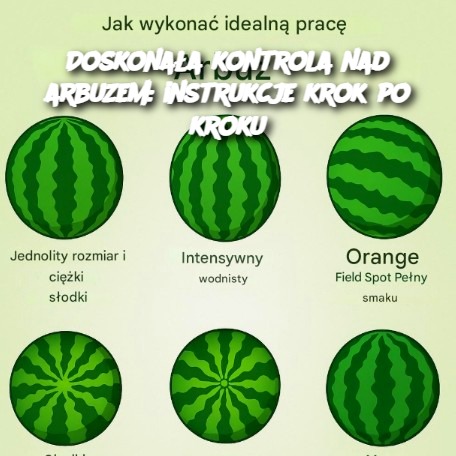 Doskona_a_kontrola_nad_arbuzem__instrukcje_krok_po_kroku-1