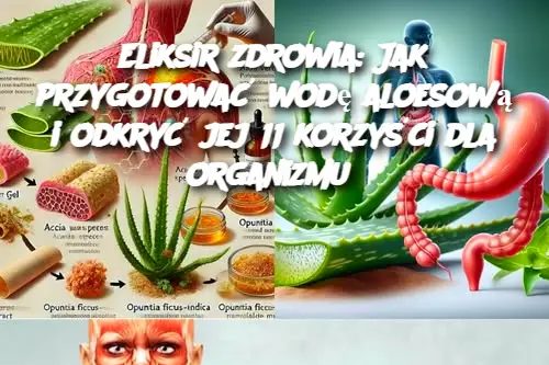 Eliksir_zdrowia__Jak_przygotowa__wod__aloesow__i_odkry__jej_11_korzy_ci_dla_organizmu Eliksir_zdrowia__Jak_przygotowa__wod__aloesow__i_odkry__jej_11_korzy_ci_dla_organizmu
