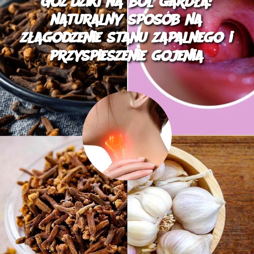 Go_dziki_na_b_l_gard_a__naturalny_spos_b_na_z_agodzenie_stanu_zapalnego_i_przyspieszenie_gojenia-1