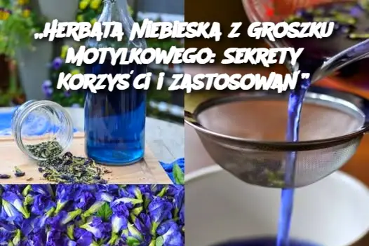 Herbata_Niebieska_z_Groszku_Motylkowego__Sekrety_Korzy_ci_i_Zastosowa__ Herbata_Niebieska_z_Groszku_Motylkowego__Sekrety_Korzy_ci_i_Zastosowa__